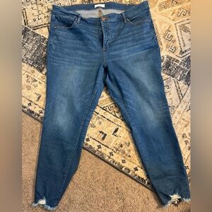 Plus Size Skinny LOFT Jeans- Like New